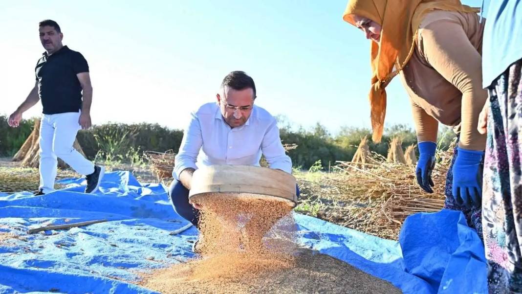 Manavgat’ın Altın Susamı 5 Yıldızlı Otellerin Mutfağını Süslüyor 2